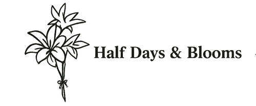 halfdaystudio